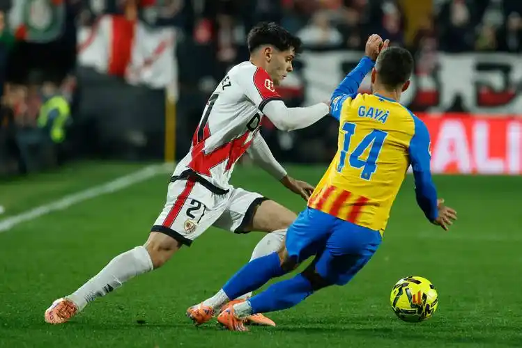 雨燕直播足球免费